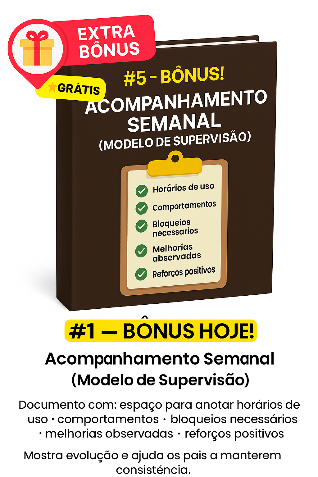Bônus 5 - Acompanhamento Semanal (Modelo de Supervisão)